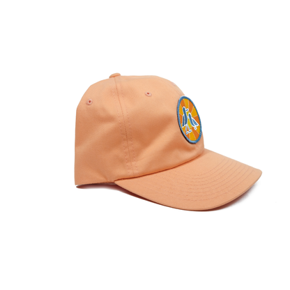 Sunny Day Dad Hat